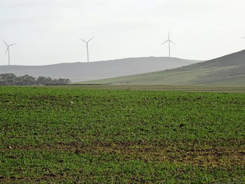 8-Waterloo Windfarm